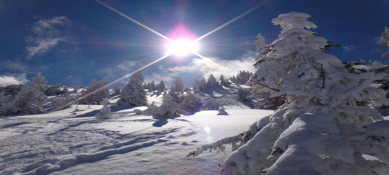 Apartment Alpine By Apartment Managers Kirchberg in Tirol Luaran gambar
